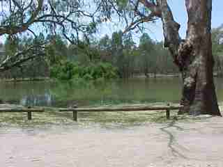 murray river down by the new bridge